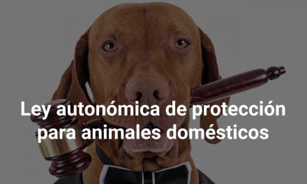 Nueva ley autonómica de protección de los animales domésticos