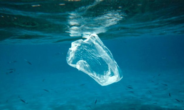 Las bolsas de plástico dejarán de ser gratis el próximo 1 de julio y se prohibirán para 2021