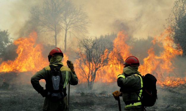 Consecuencias dos incendios forestais en Galicia